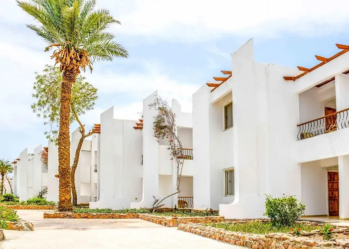 Menaville Safaga 3*