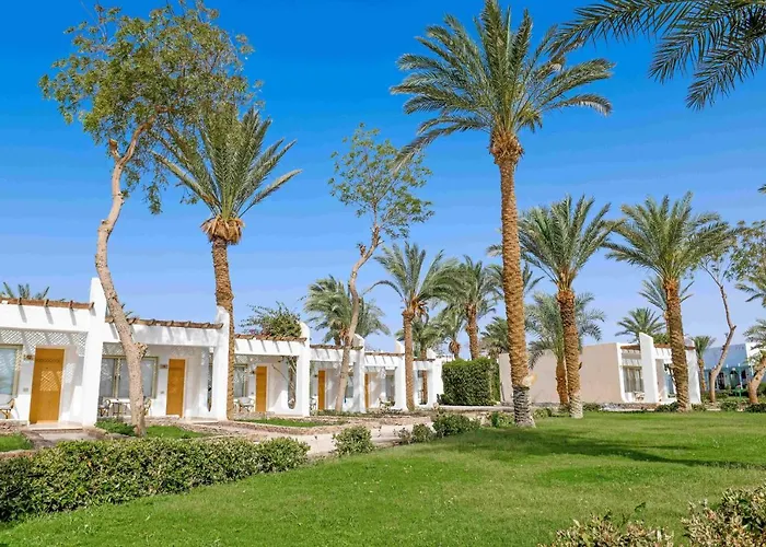 Menaville Safaga 3*