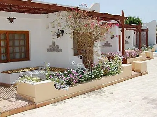 Menaville Safaga 3*