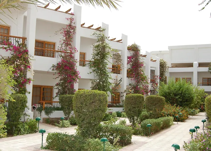 Menaville Safaga 3* Szafaga